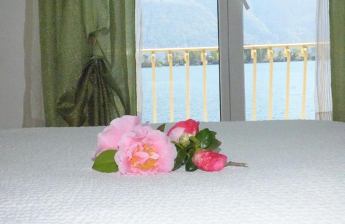 Porto Ronco Apartment | Casa Conti al Lago