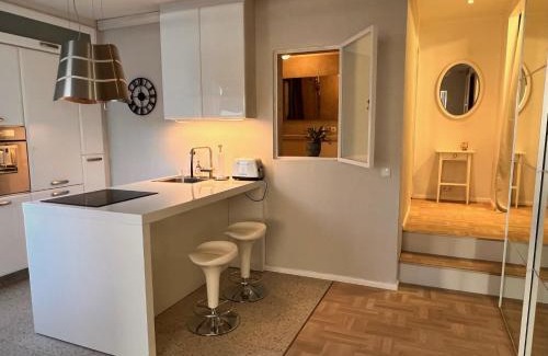 Heimar Apartment | Casa Dísa - Apartments A Boutique Guesthouse in Reykjavik City`s Central Park and Botanical Garden in Laugardalur, Hot-Spring-Valley