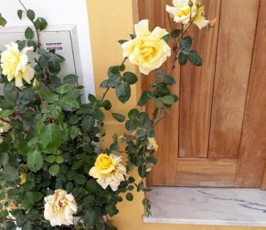 Miranda do Corvo Apartment | Casa d'Avó