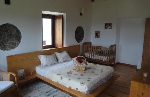 Gois House | Casa da Comareira