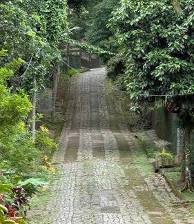 Vargem Grande House | Casa da Floresta