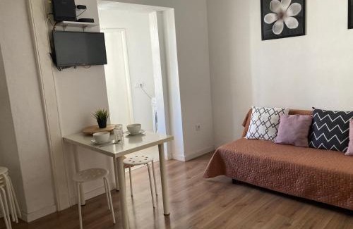 Vila Nova da Barquinha Apartment | Casa da Vila