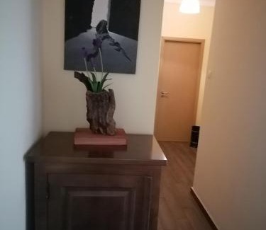 Castelo Branco Apartment | Casa das 4 estações