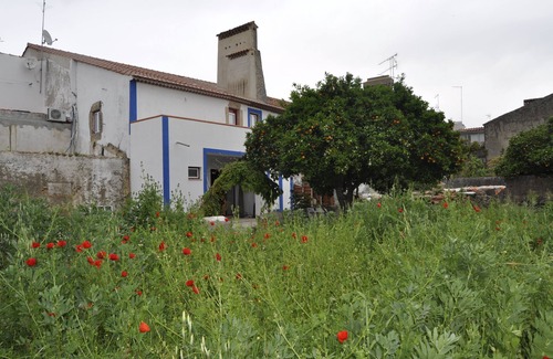 Alpalhao House | Casa das Andorinhas/Swallows House