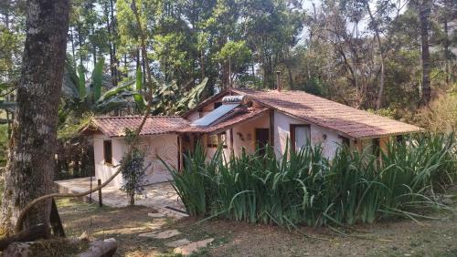 Aiuruoca House | Casa das Araucárias, no Vale do Matutu, Aiuruoca-MG