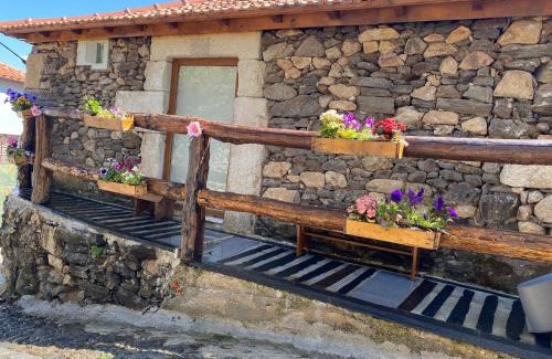 Lamego House | Casa das Flores