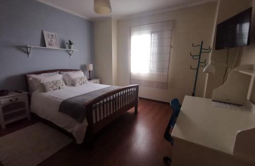 Capelas House | Casa das Palmeiras
