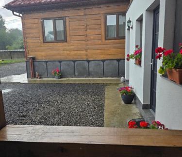 Sighetu Marmatiei House | Casa de lângă pădure