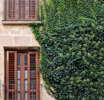 Calaceite House | Casa de la Neveria