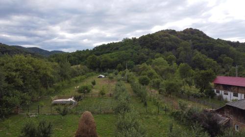 Valsanesti House | Casa de la Tara