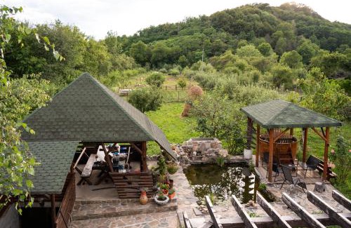 Valsanesti House | Casa de la Tara
