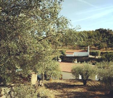 Vimioso House | Casa de Pimenteis
