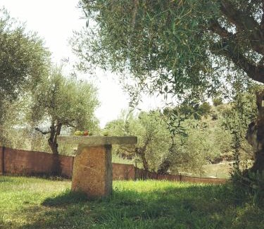 Vimioso House | Casa de Pimenteis