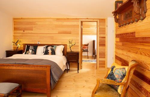 Baile Herculane House | Casa Decebal