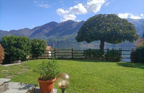 Oliveto Lario Apartment | Casa delle Olive 1