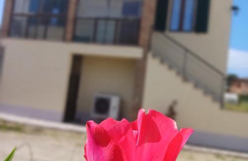 Monticiano House | Casa di zio