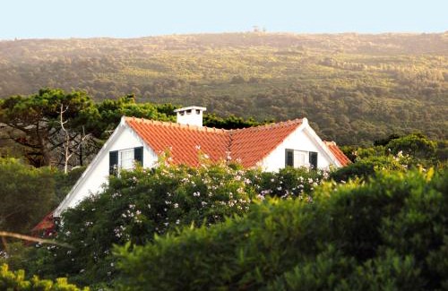 Sao Roque do Pico Villa | Casa do Areal