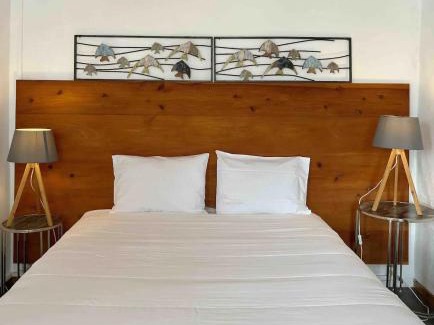 Madalena Apartment | Casa do Cacto - 1 Bedroom Flat