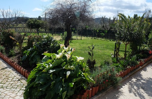 Tomar House | Casa do Olival/Castelo do Bode area