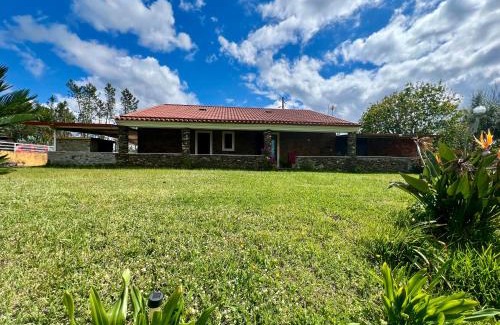 Olalhas House | Casa do Pinhal