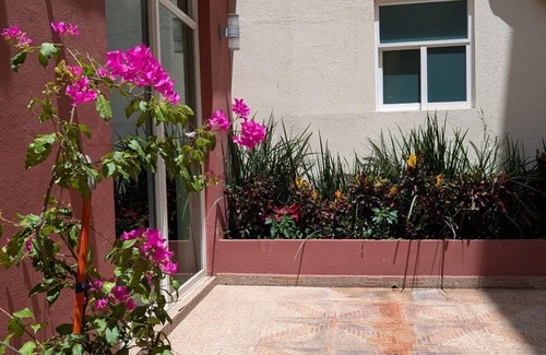 Historic Center Apartment | Casa Donceles Apt 3 Group Top Choice, Complimentary baggage storage.