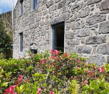 Sete Cidades House | Casa dos Platanos-Family Home