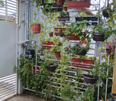 Terra Firme Apartment | Casa espaçosa para COP 30