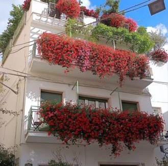 Altamura Bed & Breakfast | Casa Farella B&B in SUITES Apartments and Terrace Altamura x Matera