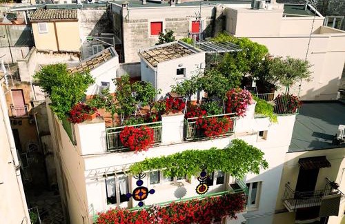 Altamura Bed & Breakfast | Casa Farella B&B in SUITES Apartments and Terrace Altamura x Matera