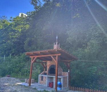 Orastioara de Sus House | Casa Favorit