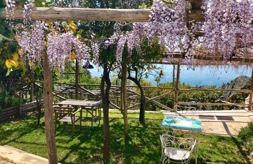 Albori Bed & Breakfast | Casa Flora
