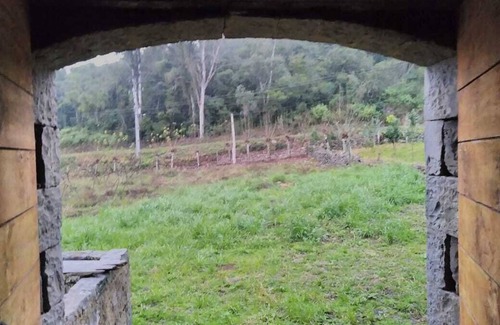 Bento Goncalves House | Casa Foresti, historic, surrounded by nature, for family or group of friends.