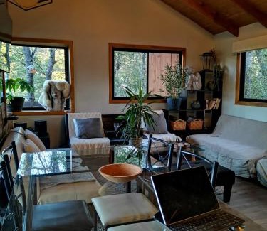 Pinto Cabin | Casa Indómita
