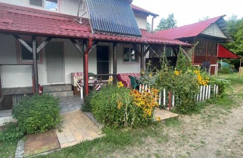 Oestii Paminteni House | Casa Ioana