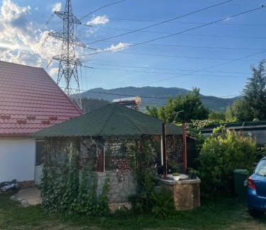 Oestii Paminteni House | Casa Ioana
