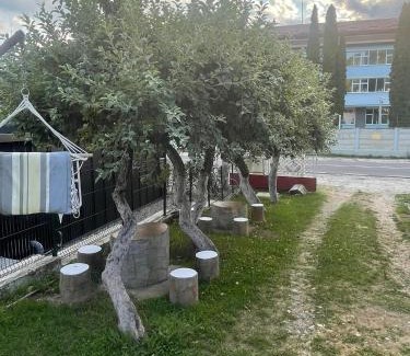 Oestii Paminteni House | Casa Ioana