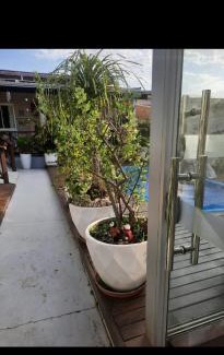 Chapada dos Guimaraes House | Casa JB