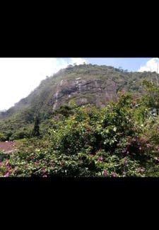 Teresopolis House | Casa junto ao Parque