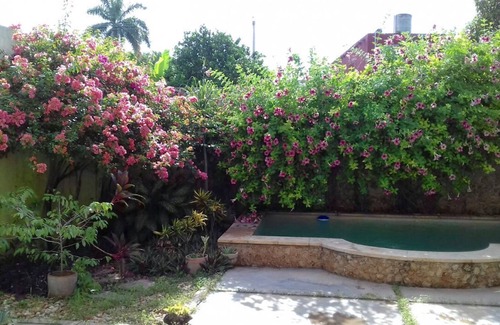 Centro House | Casa La Ermita, Charming Restored Colonial in Historic Centro