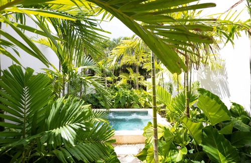 Los Naranjos Villa | Casa Luna Edén by Luxe Haus™ – Butlered Villa, Staff, Pool, Jacuzzi, Golf Carts