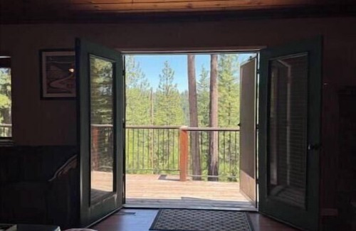 Croft Cabin | Casa Luna swim spa in the woods