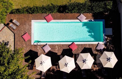 Paliouri Apartment | Casa Luxury Suites