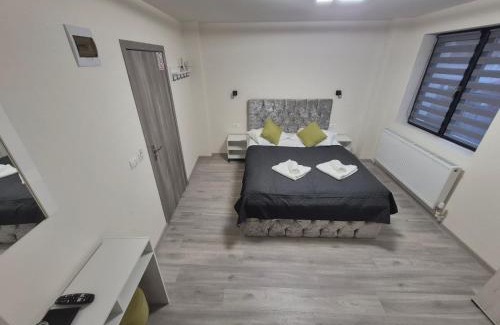 Calimanesti House | Casa Marm