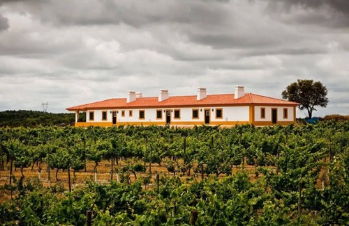 Flor da Rosa House | Casa Melro - (In the vineyard of Herdade do Gamito)