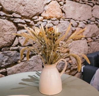 San Juan de la Rambla Apartment | Casa Mesa