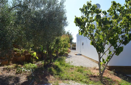 Olhao House | Casa Modular T2