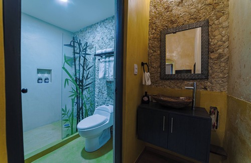 Zona Centro Apartment | Casa Lanz 17th century-center-cathedral-bicycle#7
