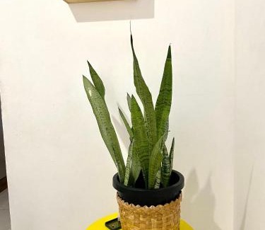 Atalaia House | Casa na Orla de Atalaia ampla com cômodos