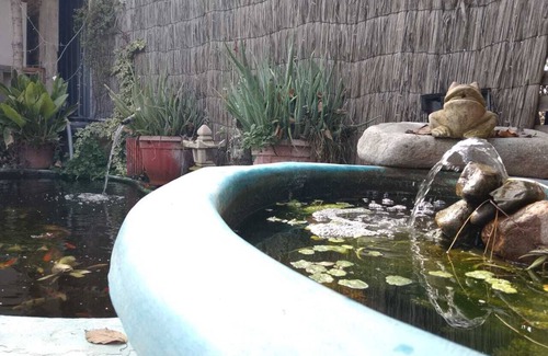 Paine House | Casa Niwa Koi Entre Peces