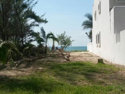 Puerto Morelos Villa | Casa Niwinski